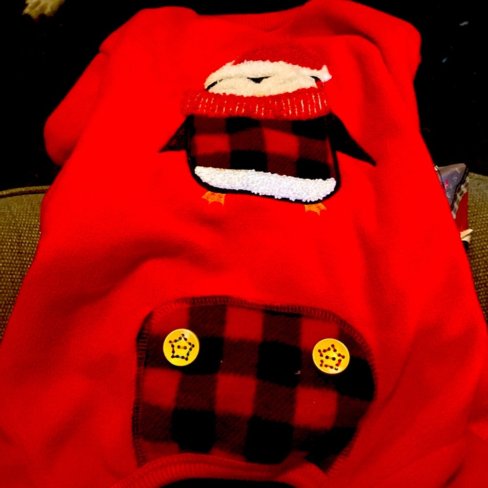 Christmas dog pajamas.